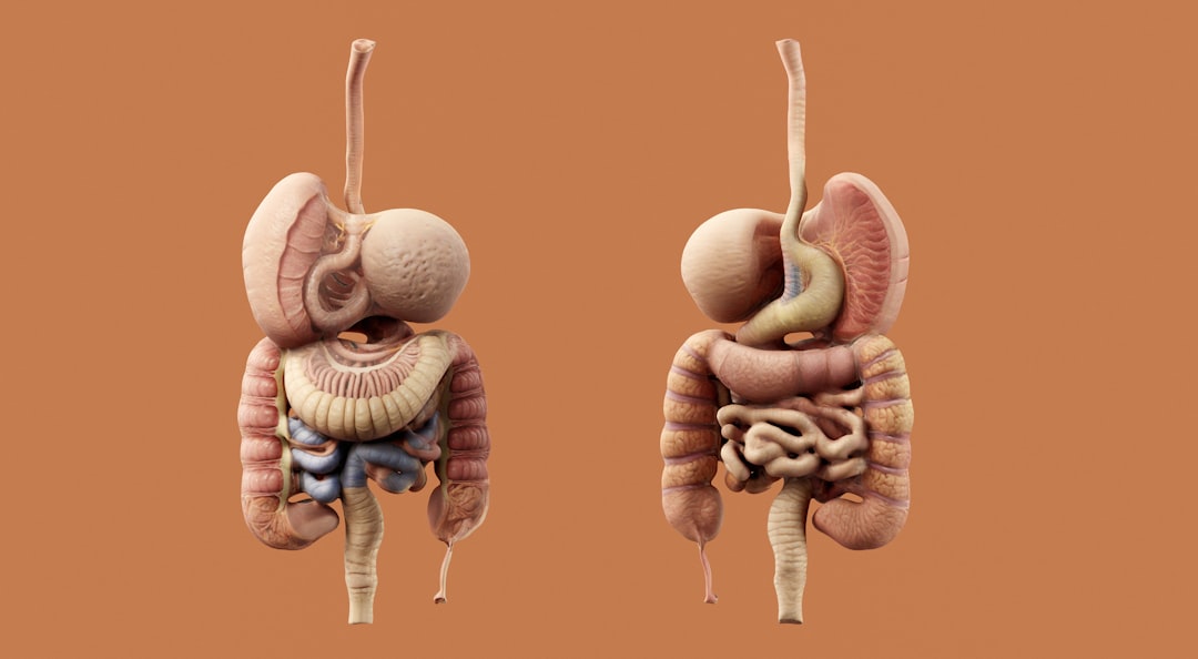 Gut Microbiome Diversity: Short-Chain Fatty Acid (SCFA) Production, Intestinal Permeability, and Dysbiosis Remediation - Featured Image
