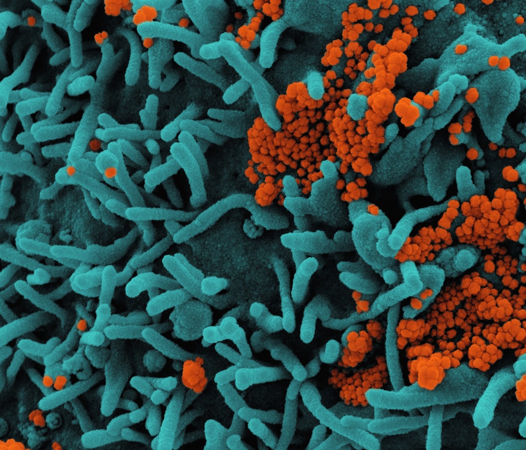 Gut Microbiome Diversity: Short-Chain Fatty Acid (SCFA) Production, Intestinal Permeability, and Dysbiosis Remediation - Executive Framework and System Overview