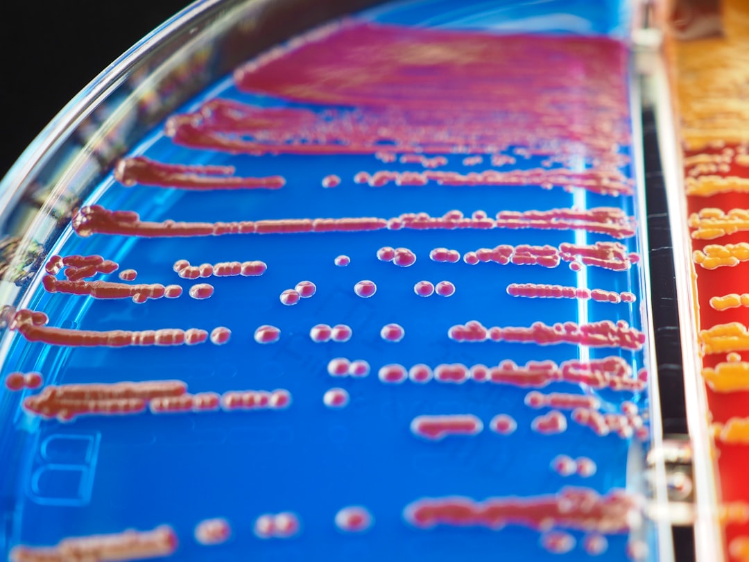 Theoretical Foundations & Core Systematic Frameworks of Gastrointestinal Ecology - Operational Execution and Architecture