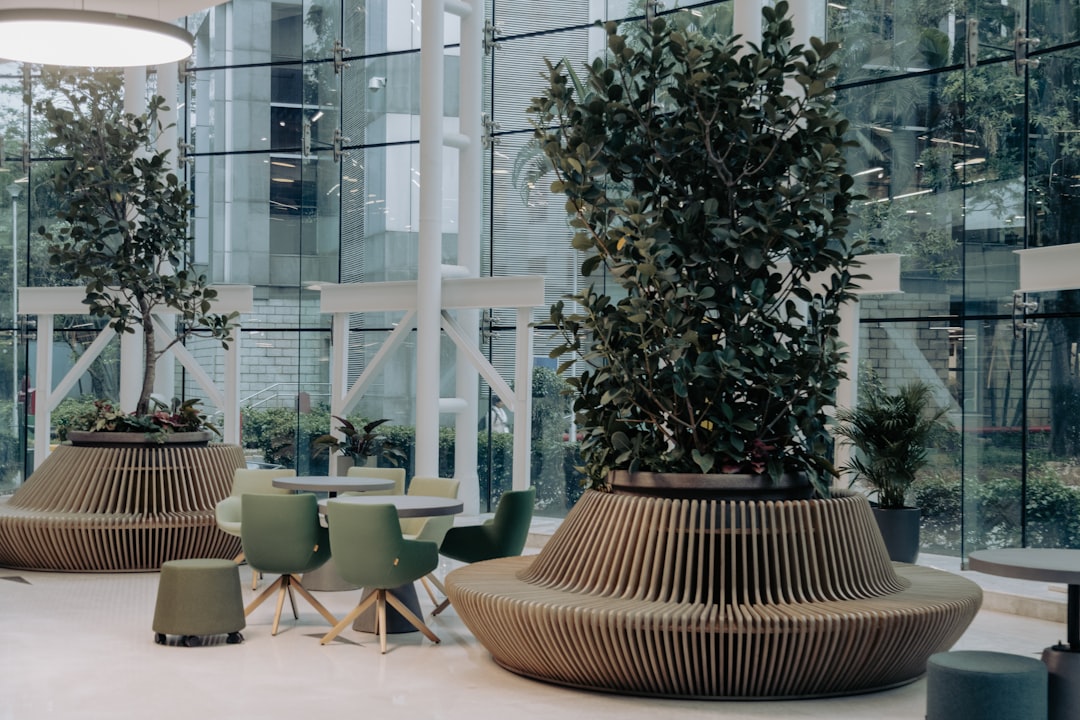 Modern Biophilic Interior Design: Circadian Lighting Integration, Natural Materials, and Spatial Acoustics - Featured Image