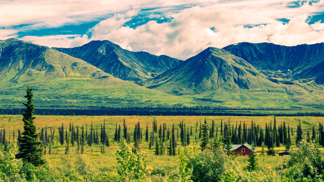 Sustainable Eco-Tourism & Conservation Travel: Carbon Offsetting Verification, Community-Owned Lodges, and Leave-No-Trace Principles - Featured Image