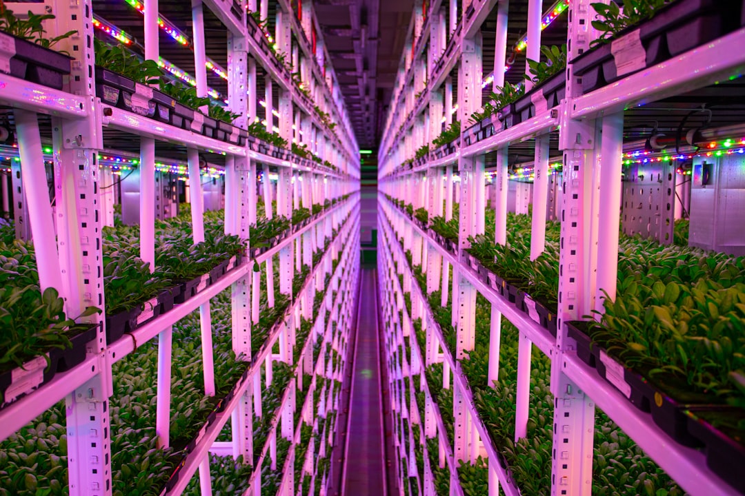 Urban Gardening & Hydroponics: Vertical Farming Systems, Living Soil Ecology, and Year-Round Nutrient Production - Featured Image